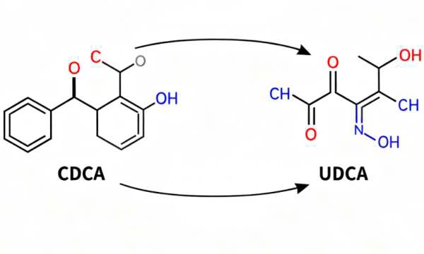 CDCA and UDCA CDCA and UDCA