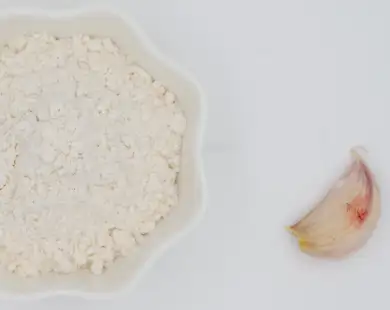 pure garlic extract powder pure garlic extract powder