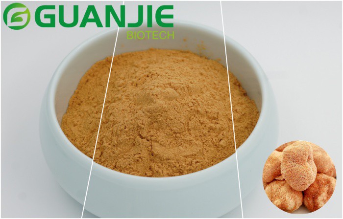 lions mane fruit body extract powder lions mane fruit body extract powder
